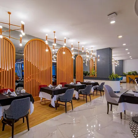 Stella Elite & 16 (adults Only) 시데