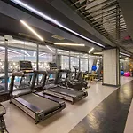 Stella Elite & 16 (adults Only)